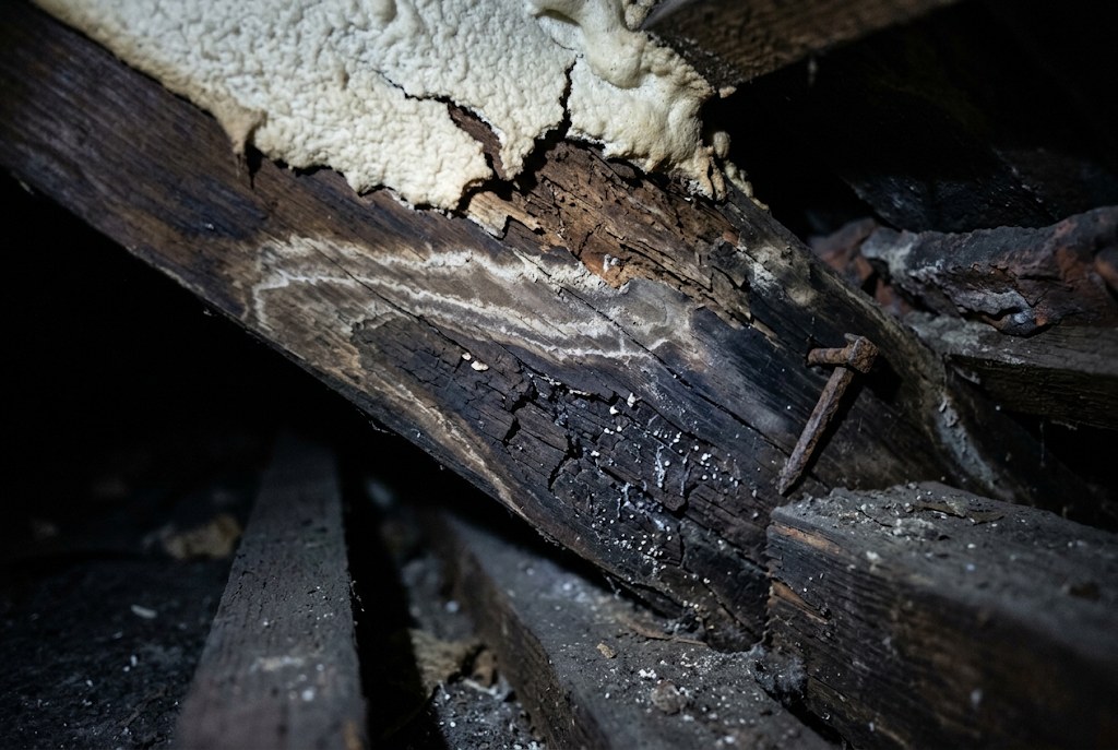 A damp-marked rafter beside sprayed foam.